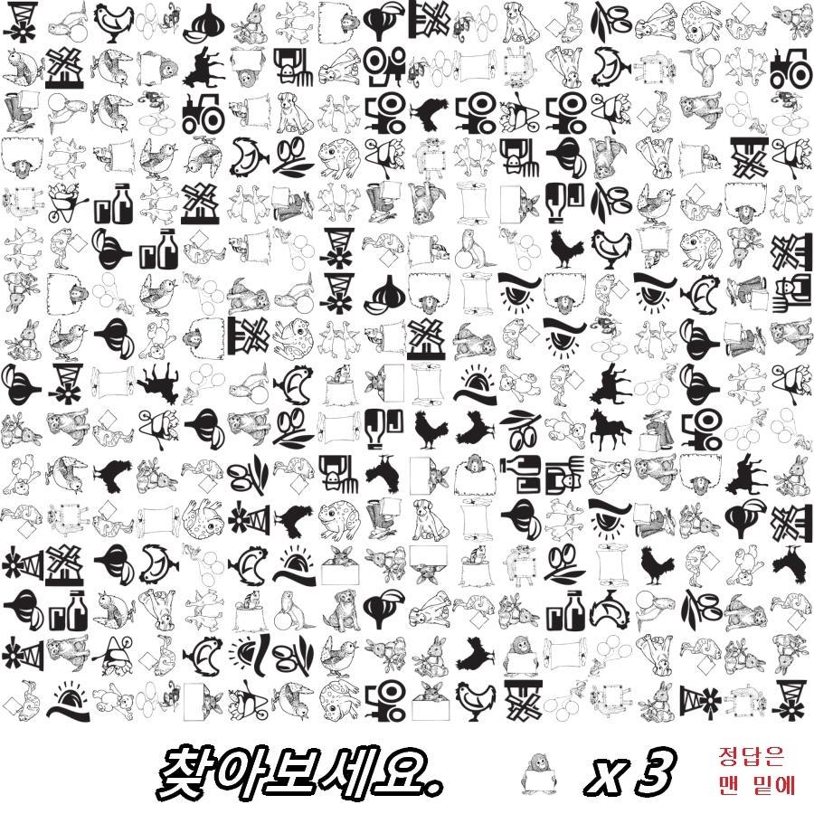 김유진우승