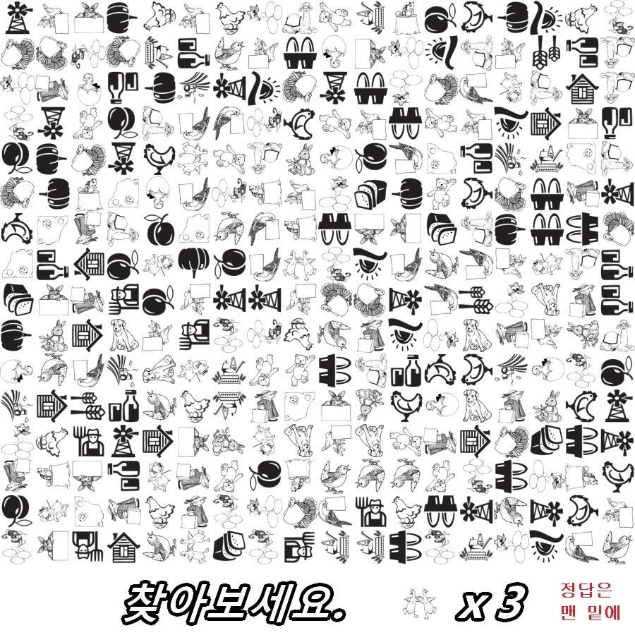 레이디제인