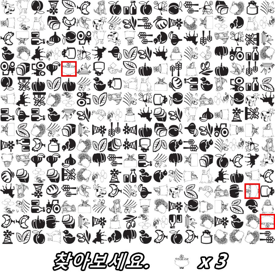 고들빼기 - 정답